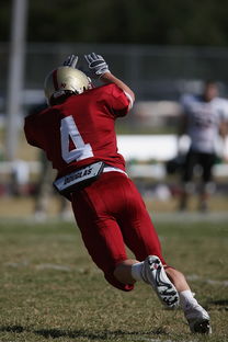 开云官方网页登录-德甲球队视频分析辅助防守站位调整的实证研究，德甲防守最好的球队