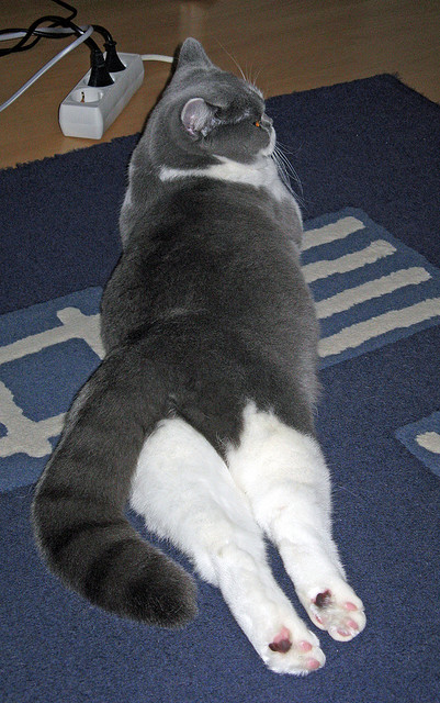 kaiyun官方入口登录-“热刺猛攻，阿仙奴坚守：香港赛场焦点对决”