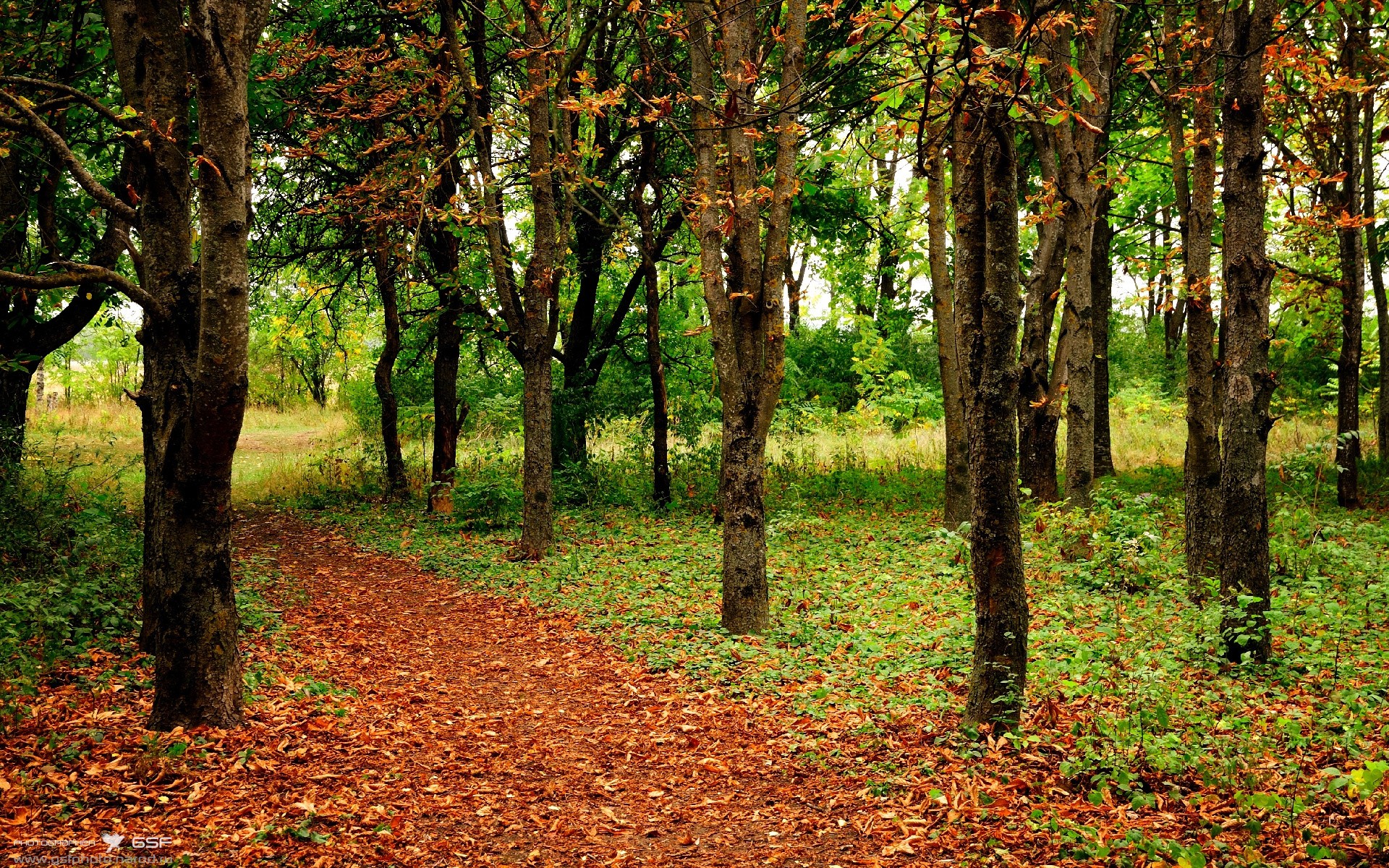 亚洲杯国足晋级 球员评分备受好评,国足亚洲杯亚军阵容
