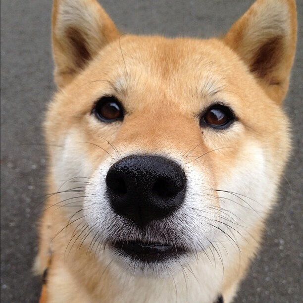 拜仁精准配合撕裂南美防线,拜仁夏季引援