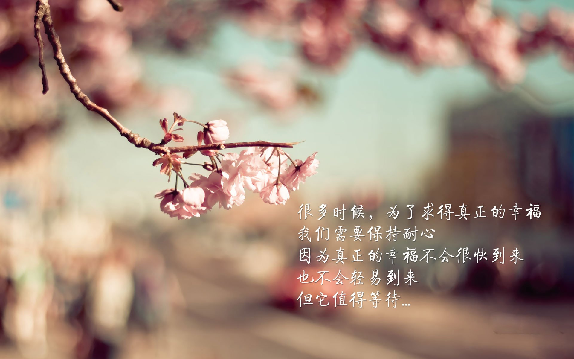 搏击项目设立青少年安全体验专区,青少年搏击比赛视频