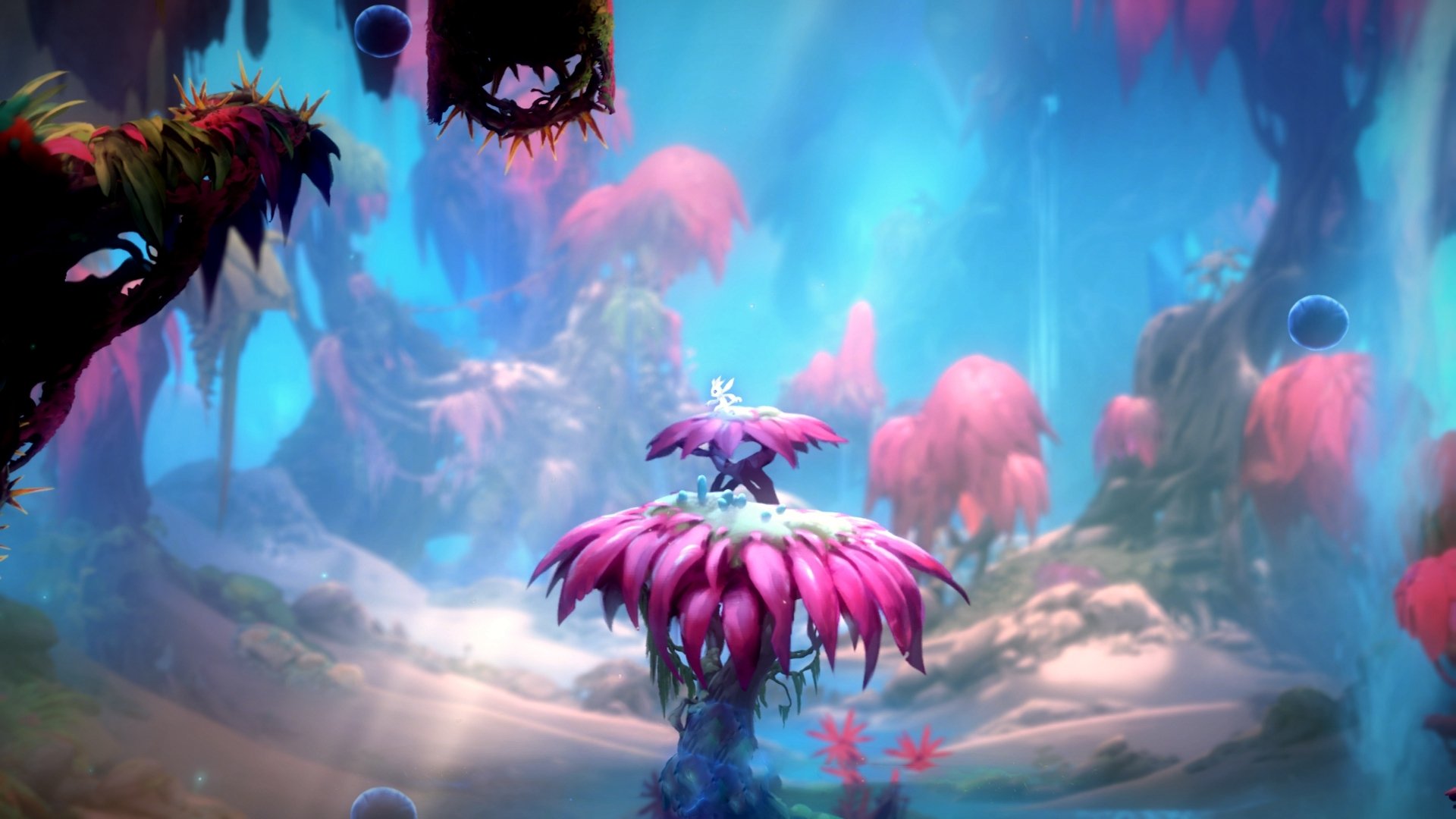 开云官网首页-校园篮球联赛结构是否具备可持续发展逻辑，校园篮球班级联赛