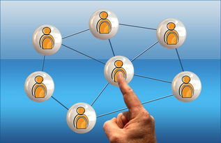 Kaiyun(中国)开云-高校电竞联赛冠军诞生 战术与团队缺一不可，高校电竞联盟挑战赛全国总决赛