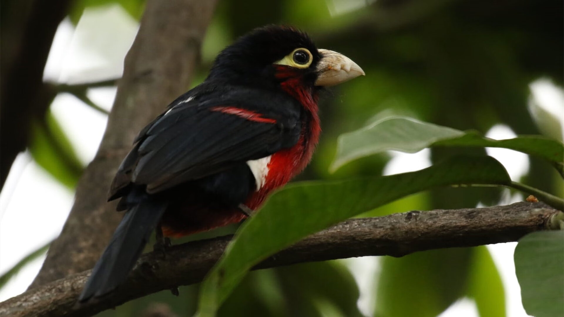 开云kaiyun-场地情况变化频繁队伍赛前适应训练安排更加灵活，比赛场地怎么形容